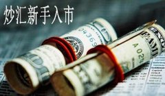 零知识炒外汇怎么入门呢？怎样从零开始学外汇交易？